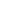 Dongfeng Logo Small