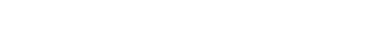 Dongfeng Logo Large