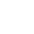 Dongfeng Logo Small