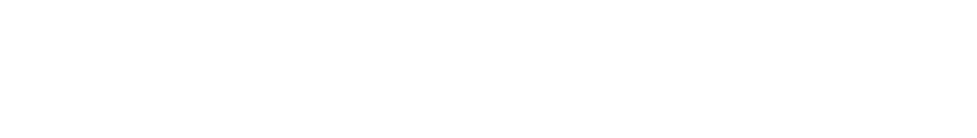 Dongfeng Logo Large